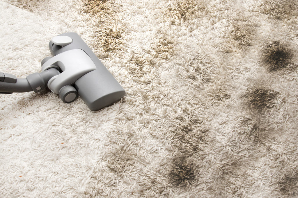 The Hidden Dangers Lurking in Dirty Carpets: Health Risks and Solutions hero image