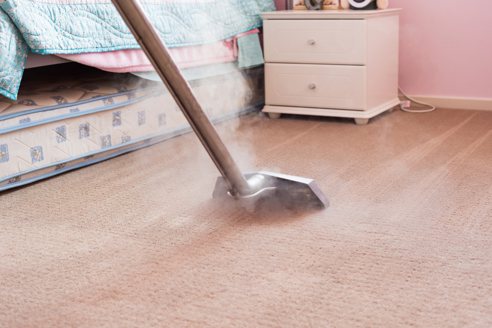 The Importance of Regular Maintenance for Commercial Carpets hero image