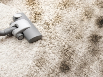 The Hidden Dangers Lurking in Dirty Carpets: Health Risks and Solutions image