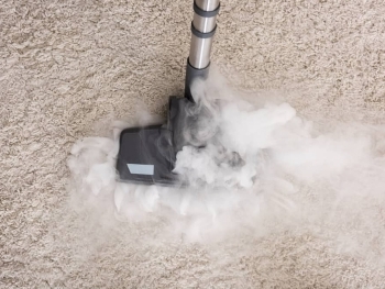 The Benefits of Regular Carpet Maintenance for Commercial Spaces image