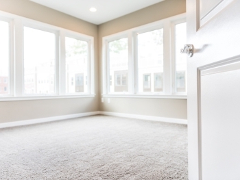 Protecting Your Investment: Tips for Keeping Carpets Looking Like New image