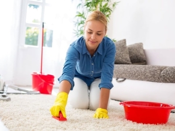 How Carpet Cleaning Can Improve Indoor Air Quality and Health image