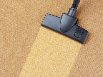 Expert Tips for Maintaining Clean Carpets in Between Professional Cleanings image