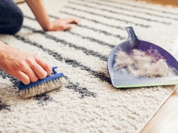 Pet-Friendly Carpet Cleaning Tips: Say Goodbye to Pet Odors and Stains image