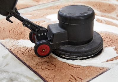 Tips for Keeping Your Area Rugs Looking Fresh and Clean blog image