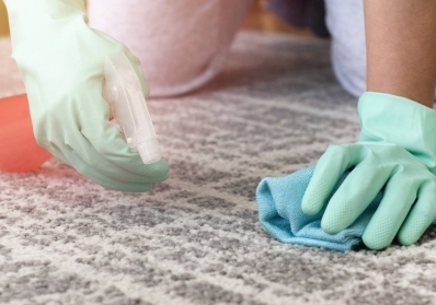 DIY vs. Professional Carpet Cleaning: Making the Right Choice for Your Home blog image