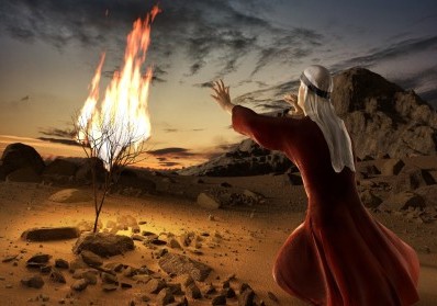 The Burning Bush: A Divine Encounter with Moses blog image
