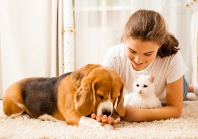 Eco-Friendly Carpet Cleaning: Protecting Your Home and the Environment blog image