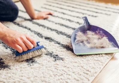 Pet-Friendly Carpet Cleaning Tips: Say Goodbye to Pet Odors and Stains blog image