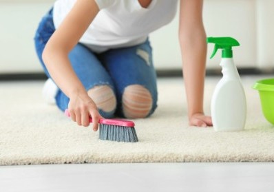 5 Ways to Keep Your Carpets Clean and Fresh: Tips from the Pros blog image