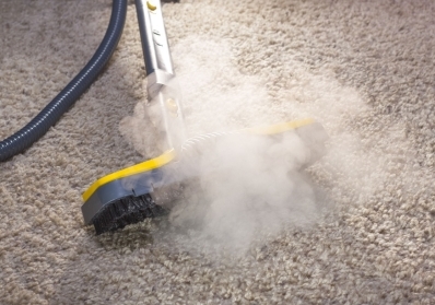 DIY vs. Professional Carpet Cleaning: Making the Right Choice for Your Home blog image