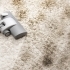 The Hidden Dangers Lurking in Dirty Carpets: Health Risks and Solutions small image