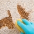 The Science Behind Carpet Odors: Tips for Elimination and Prevention small image
