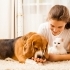 Eco-Friendly Carpet Cleaning: Protecting Your Home and the Environment small image