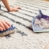 Pet-Friendly Carpet Cleaning Tips: Say Goodbye to Pet Odors and Stains small image