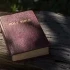 Bible Online small image