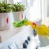 The Ultimate Spring Cleaning Checklist for Your Home or Office small image