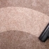DIY vs. Professional Carpet Cleaning: Which is Right for You? small image