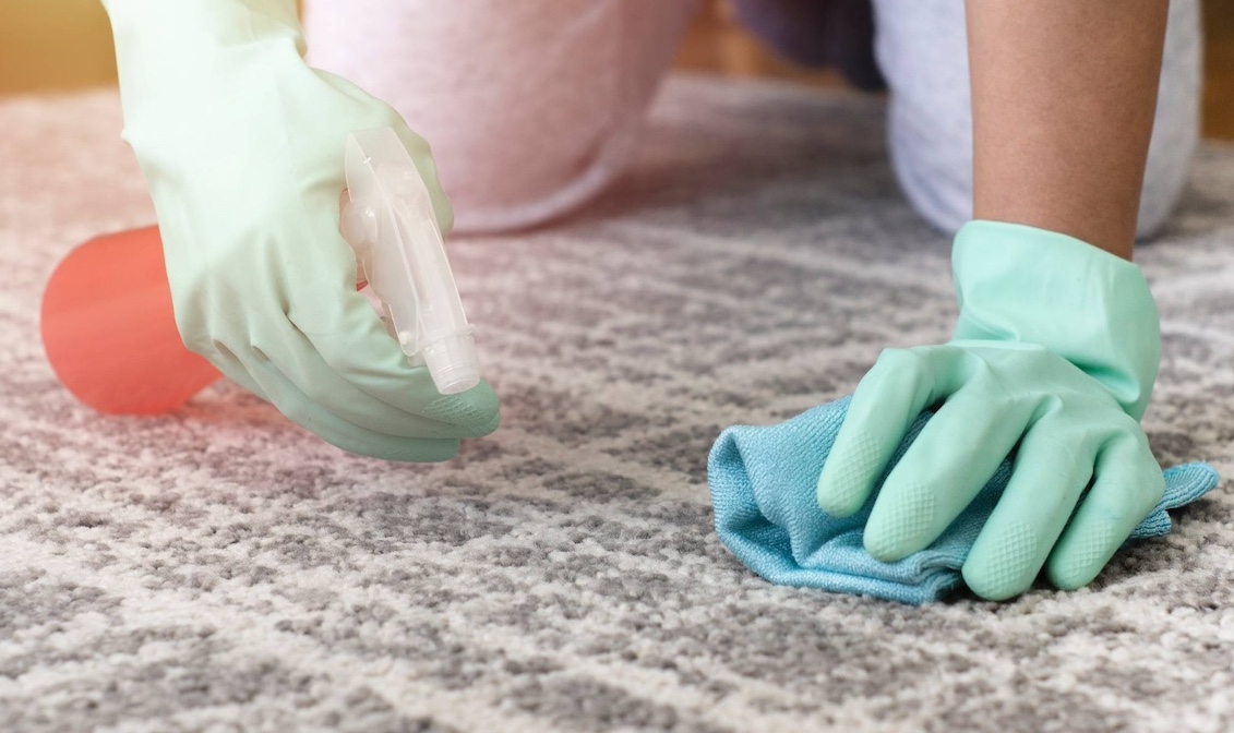 DIY vs. Professional Carpet Cleaning: Making the Right Choice for Your Home hero image