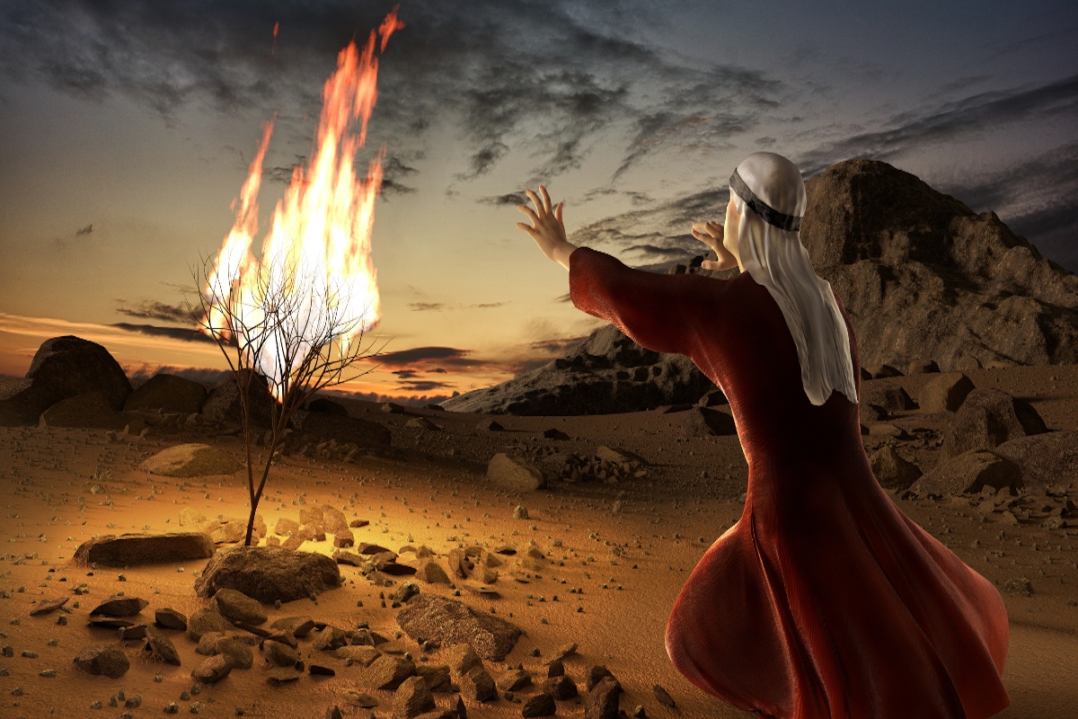 The Burning Bush: A Divine Encounter with Moses hero image