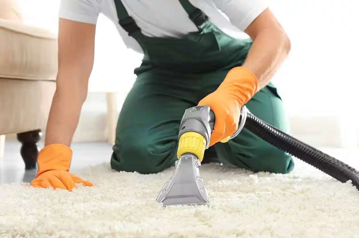 DIY vs. Professional Carpet Cleaning: What’s Right for You? hero image