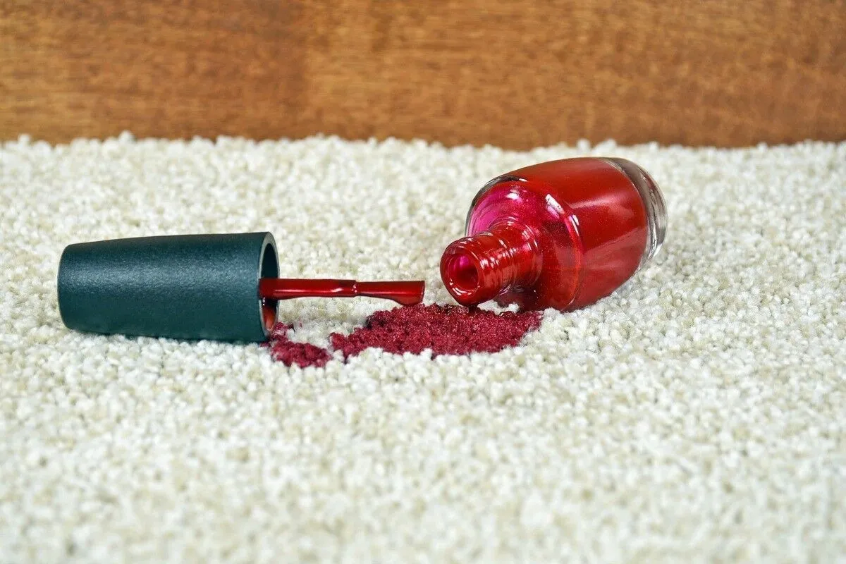 Common Myths About Carpet Cleaning Debunked hero image