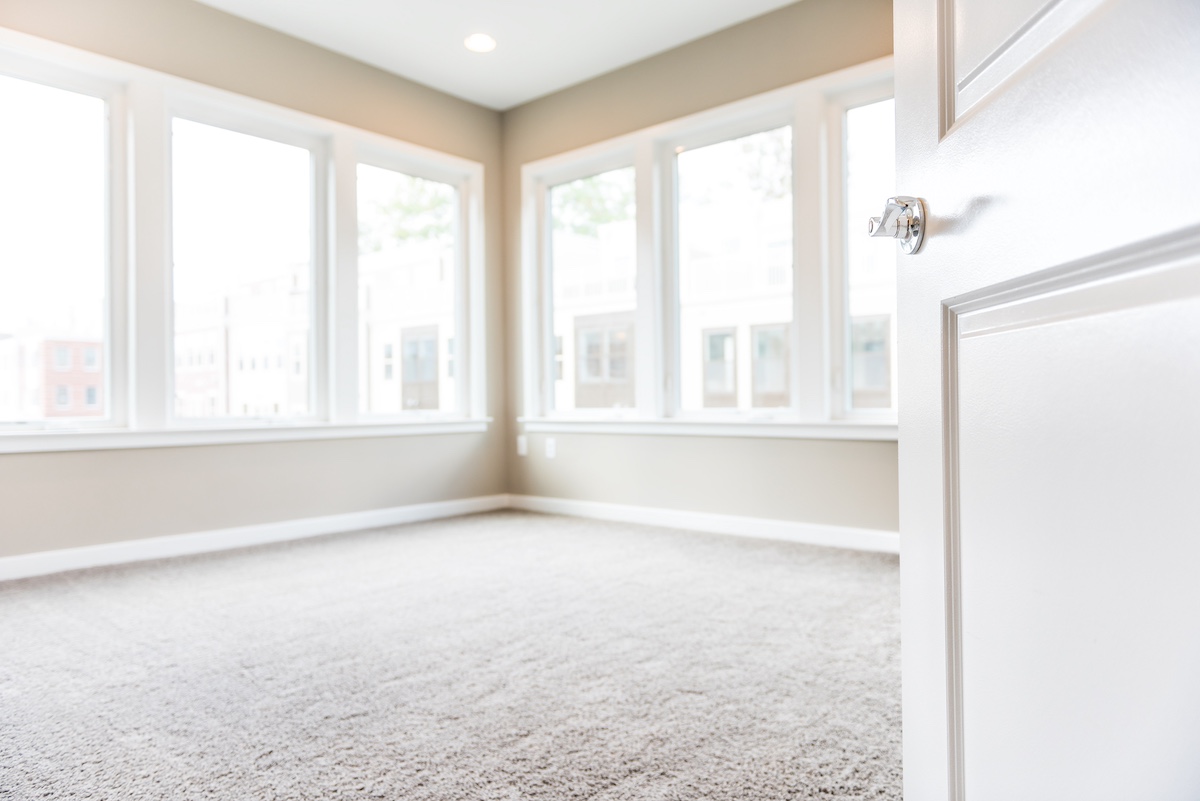 Protecting Your Investment: Tips for Keeping Carpets Looking Like New hero image