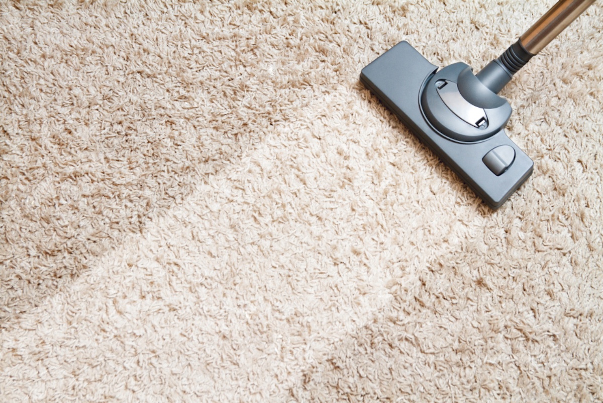 How Often Should You Clean Your Carpets? Carpet Cleaning Portland