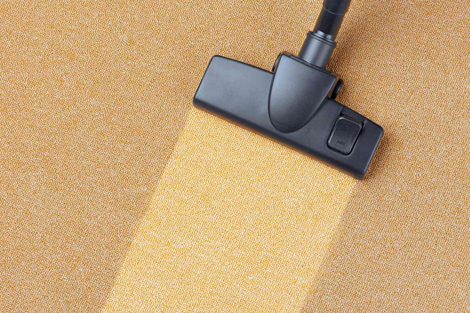 Expert Tips for Maintaining Clean Carpets in Between Professional Cleanings hero image