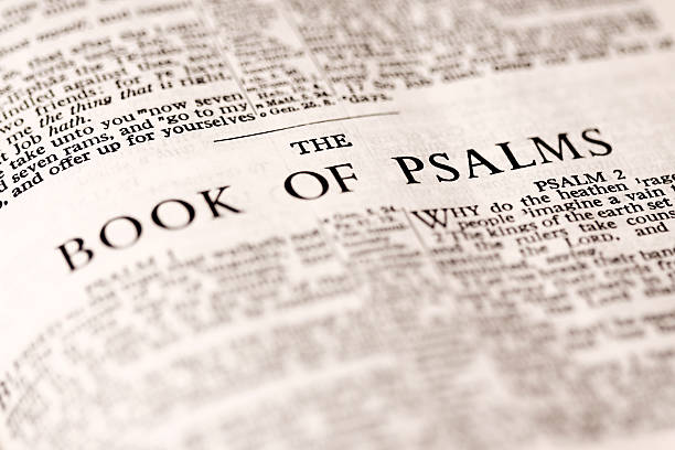 Discovering the Heart of God: A Study on the Psalms hero image