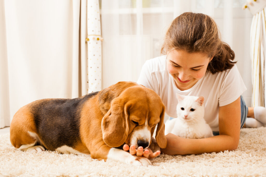 Eco-Friendly Carpet Cleaning: Protecting Your Home and the Environment hero image