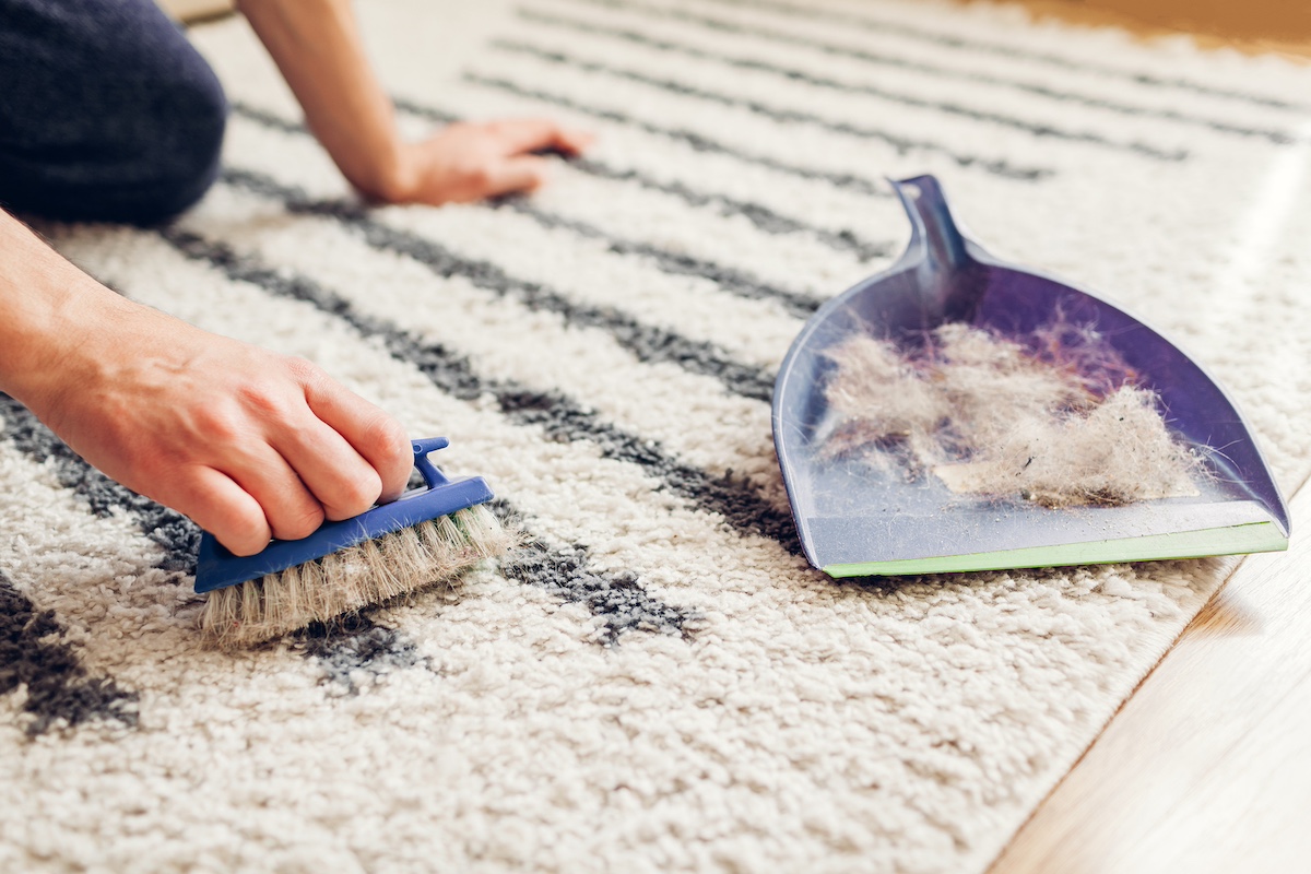 Pet-Friendly Carpet Cleaning Tips: Say Goodbye to Pet Odors and Stains hero image
