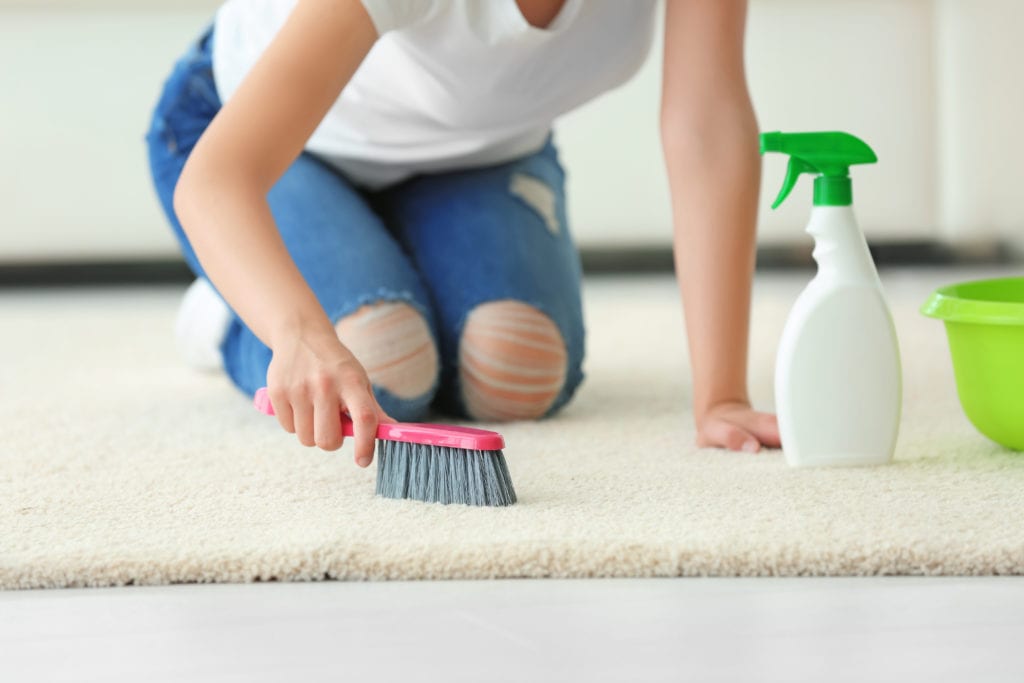 5 Ways to Keep Your Carpets Clean and Fresh: Tips from the Pros hero image